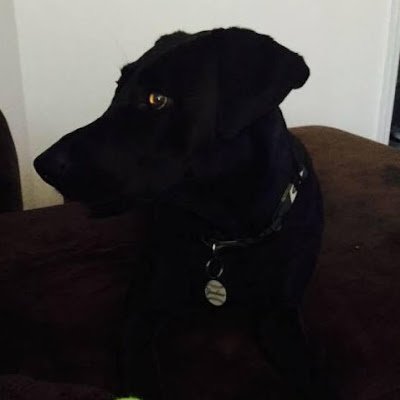 Chuck Profile