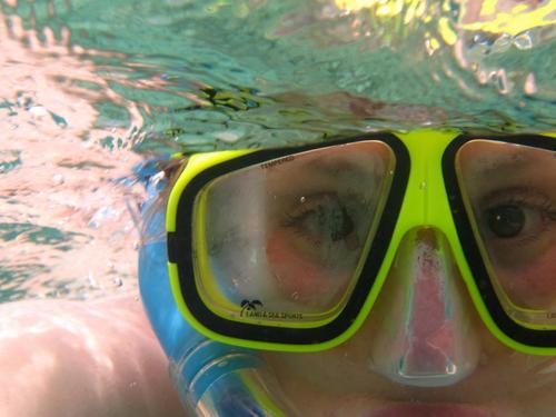 goldfishgurl71's profile picture. I bring whimsy, and forest fires. I only associate with high calendar people.