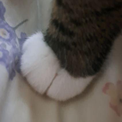 nuttterbuttters's profile picture. reached my final form of misandry men do not approach