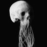 TheReal40_Head's profile picture. Christian Husband, Father and Patriot here to learn, follow and lead. Creator of audio series "Inside 40's Head - A Patriot's Perspective". (Formerly 40_Head)
