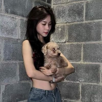 @tiktokvippro