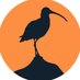 Curlew Action (@curlewaction) Twitter profile photo Curlew Action (@curlewaction) Twitter profile photo