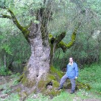 Juan Ignacio Burgos (@dasocratico) 's Twitter Profile Photo Juan Ignacio Burgos (@dasocratico) 's Twitter Profile Photo