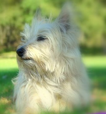 kjime23's profile picture. Wife, mom of 1, likes travel, reading, movies, board games, NFL football.