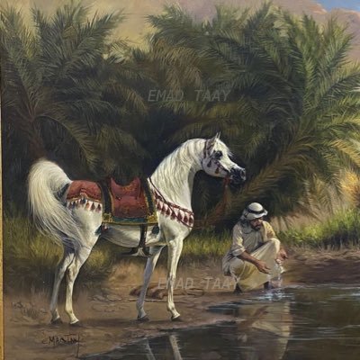 Zx55___'s profile picture. 