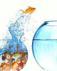 PcSera's profile picture. Administrador Informático  ~  Emprendedor Online