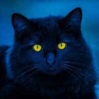Vyle Slyme (@vyleslyme) 's Twitter Profile