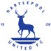 HUFC (@diegobeanie) Twitter profile photo HUFC (@diegobeanie) Twitter profile photo