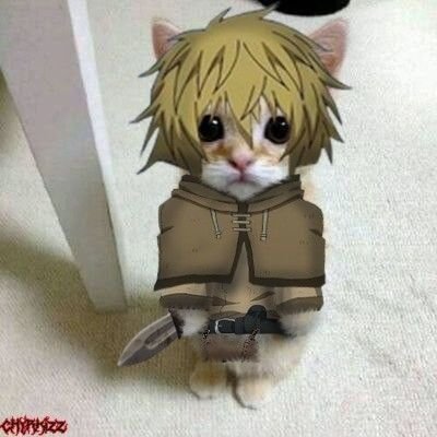 RaphHoch's profile picture. 