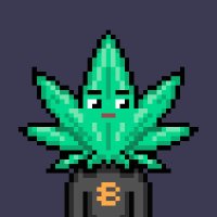 FUDLESS (@fudlessbtc) 's Twitter Profile