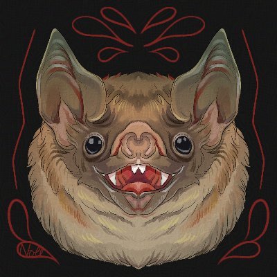 nollさんのプロフィール画像