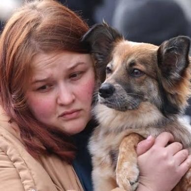 Have mercy on Ukraine dog's brothers and sisters 😭😭😭🙏🙏🙏🙏