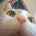 Freyja (@freyja320877831) Twitter profile photo
