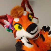 Gage! 🦊🐺 🔜 ??? (@houndinthefox) 's Twitter Profile Photo Gage! 🦊🐺 🔜 ??? (@houndinthefox) 's Twitter Profile Photo