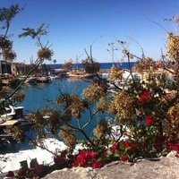 Tolga şule (@tolgacift3) 's Twitter Profile