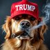 UncleCarter (@mwaw1956) Twitter profile photo UncleCarter (@mwaw1956) Twitter profile photo
