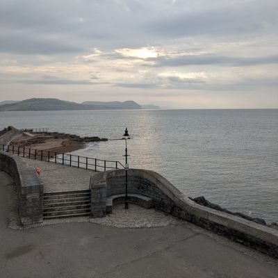 Avenelle5's profile picture. .