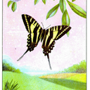 Danielle Lamb - @Mama2Mini - Twitter