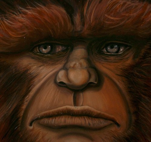 Dedicated to the never ending quest to find the truth about Bigfoot's existence. Contributing writer at http://t.co/XlsvziKe
