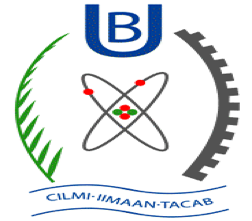 University of Burao