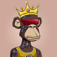 Commander Joseph (@comm_joseph) 's Twitter Profile Photo Commander Joseph (@comm_joseph) 's Twitter Profile Photo