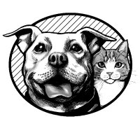 The Street Dog Coalition (@thestreetdogco) 's Twitter Profile Photo The Street Dog Coalition (@thestreetdogco) 's Twitter Profile Photo