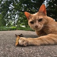 Lucy yost (@lucy_yost92822) 's Twitter Profile Photo