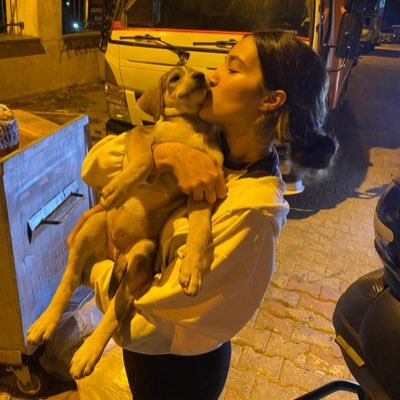 iremulusooy's profile picture. YTU