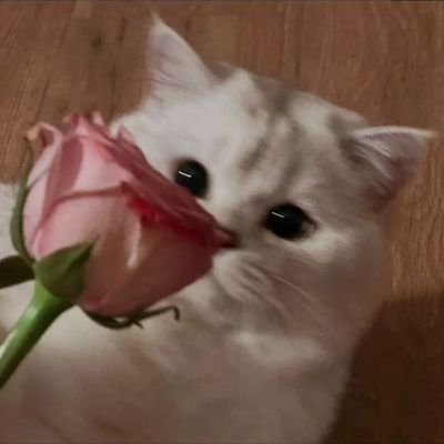 lmr_8111's profile picture. 