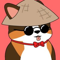 binx.btc (@binxbtc) 's Twitter Profile Photo binx.btc (@binxbtc) 's Twitter Profile Photo