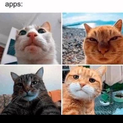 S14034S's profile picture. Good Morning