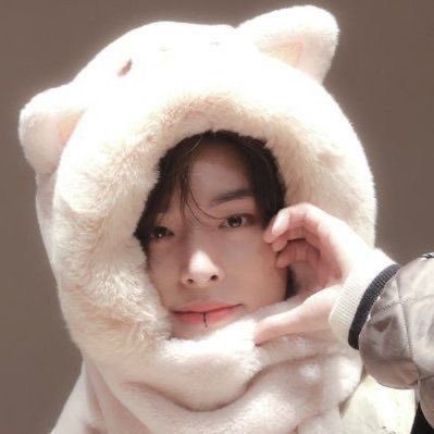 live love laugh txt & enha crumbs˚✧₊⁎⁺˳✧༚💞💝