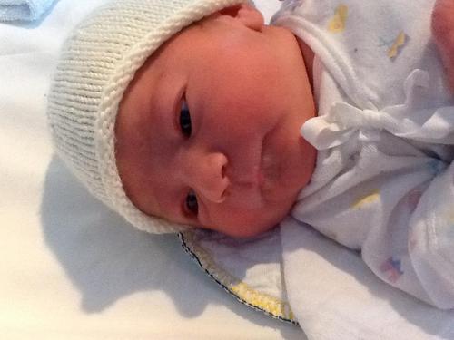 cshemes's profile picture. 