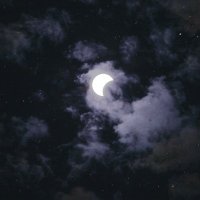 Laranja (@laranja_av) 's Twitter Profile