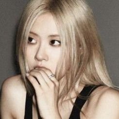 hzluuvv's profile picture. 🌼
#장미