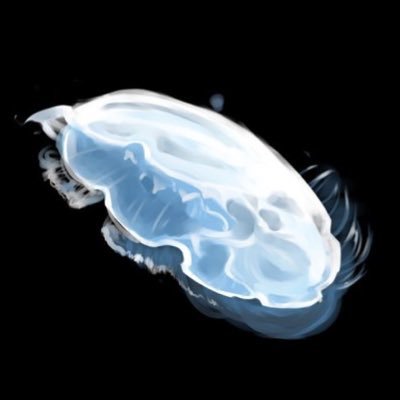 葬さんのプロフィール画像