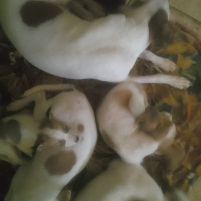 Arik52530425950's profile picture. love this picture