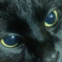 ユキ (@yukisawaichi) 's Twitter Profile
