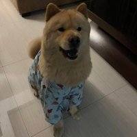 Spy Hacker (@spyhacker191742) 's Twitter Profile