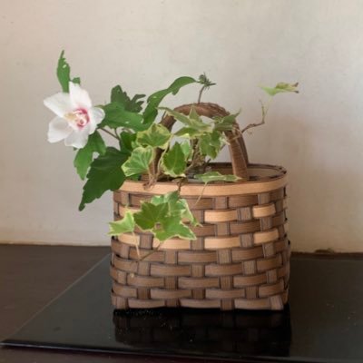 慢性疲労、胃腸が弱い。副鼻腔炎(蓄膿) 、温度変化に弱い。亜鉛、ビタミンB不足。あらゆるものを試してスッキリ健康体を目指す。