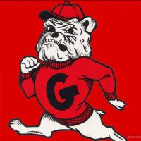 DAWGS ON TOP! (@dark_star44) Twitter profile photo