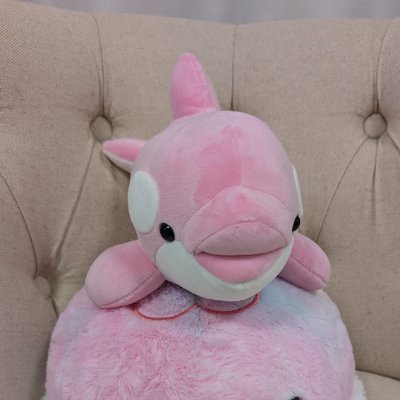 藤孝剛志さんのプロフィール画像