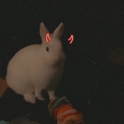 •22•dteam•themandalorian•911•howtotrainyourdragon•smosh•sleeptoken•mistborn•throneofglass•acotar•crescentcity•rangersapprentice•rabbits•unicorns