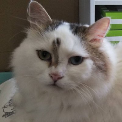 tJjm5gz0yc41144's profile picture. DPro24年9月期