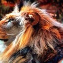 Daryl Rucker - @Zeke70 - Twitter