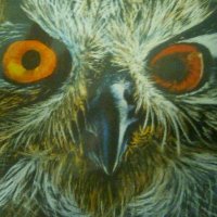 Guy Fawkes (@dsa_2point0) 's Twitter Profile