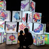 Nanayo (@nanayo_215) 's Twitter Profile