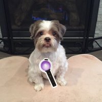 NigelP (@nigelpnyc) 's Twitter Profile