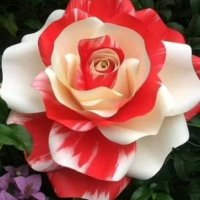 أملي باالله (@mlbkrbkr159183) 's Twitter Profile