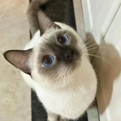 shilin70810918's profile picture. 